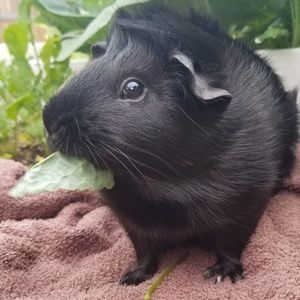 Meet your Posher, Alicia